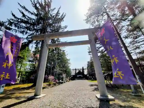 上川神社の鳥居