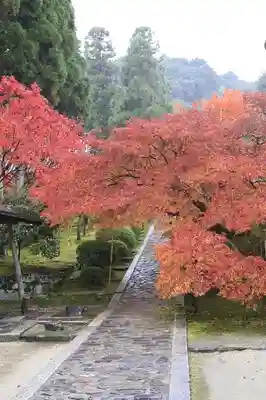 酬恩庵一休寺(京都府)