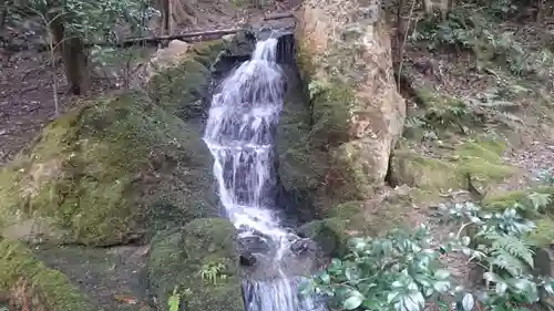 南禅寺の庭園