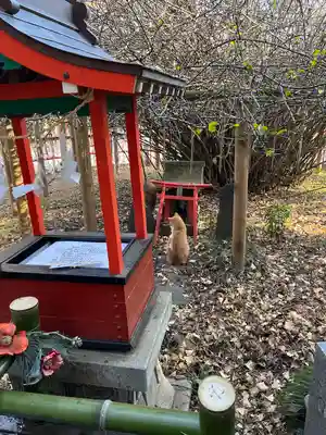 冠稲荷神社(群馬県)