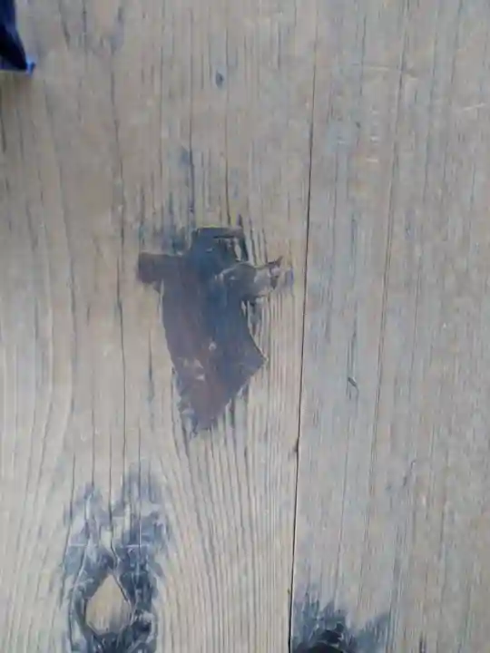 本願寺(西本願寺)(京都府)