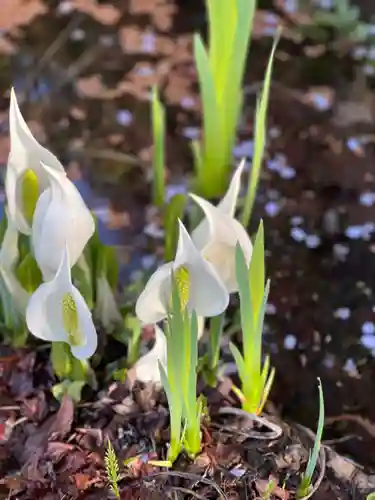 鹿島大神宮(福島県)