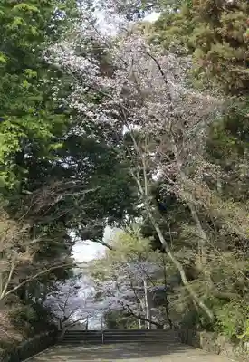 光明寺（粟生光明寺）(京都府)