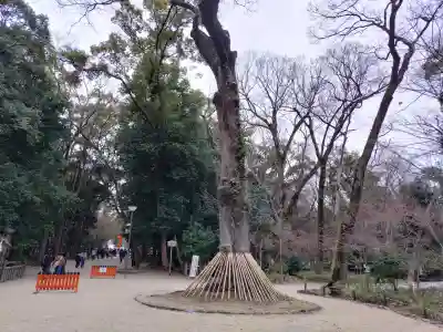 賀茂御祖神社（下鴨神社）(京都府)