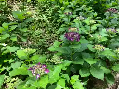長命寺(東京都)