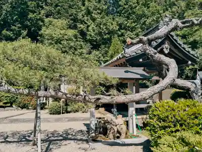 吉田寺(三重県)