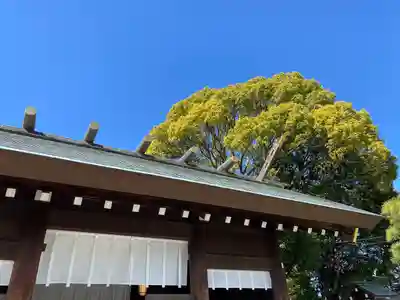伊勢山皇大神宮(神奈川県)