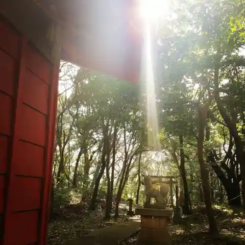 稲荷神社の狛犬