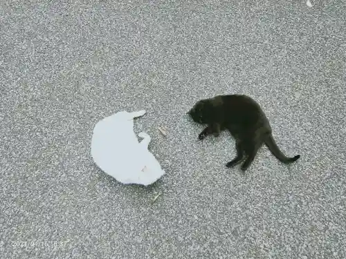 唐澤山神社の動物