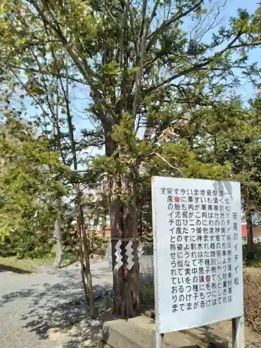 比布神社の歴史