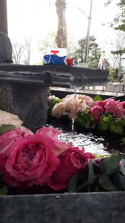 新琴似神社の手水舎