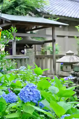 白山神社(東京都)