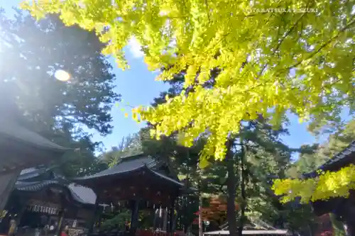北口本宮冨士浅間神社(山梨県)