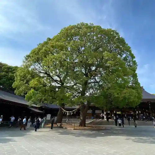 明治神宮(東京都)
