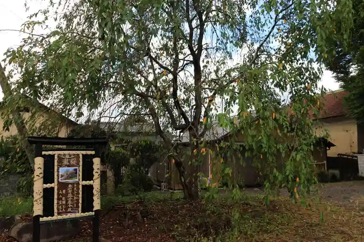 近津神社(茨城県)