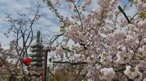 引接寺（千本ゑんま堂）の自然