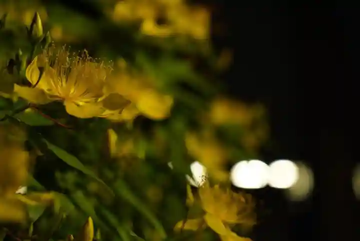 成田山神護寺の自然