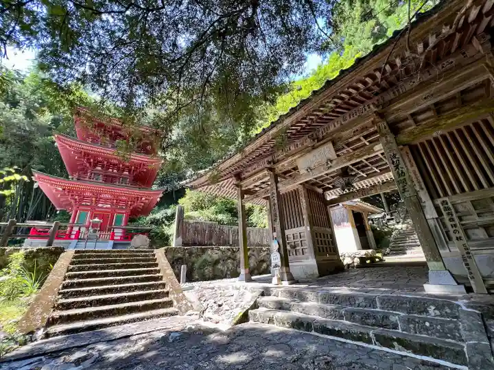青龍寺(高知県)