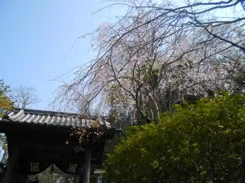 安國論寺（安国論寺）の自然