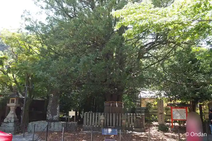 熊野速玉大社(和歌山県)