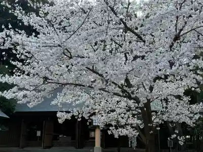 埼玉縣護國神社の{uncategorized: "未分類", other: "その他", undefined: "問題あり", building: "その他建物", grave: "お墓", sacred_gate: "鳥居", guardian: "狛犬", statue: "像", buddha: "仏像", history: "歴史", nature: "自然", garden: "庭園", animal: "動物", pagoda: "塔", temizu: "手水舎", mountain_gate: "山門・神門", sanctuary: "本殿・本堂", subordinate: "末社・摂社", art: "芸術", scenery: "景色", jizo: "地蔵", ema: "絵馬", goshuin: "御朱印", omikuji: "おみくじ", items: "授与品その他", amulet: "お守り", goshuincho: "御朱印帳", eats: "食事", festival: "お祭り", votive_dance: "神楽", shichigosan: "七五三参", wedding: "結婚式", experience: "体験その他", initially: "初詣", around: "周辺", anti_infection: "感染症対策"}