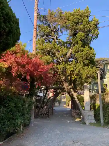 荏柄天神社(神奈川県)