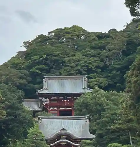 鶴岡八幡宮の本殿・本堂
