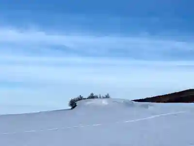 西花童子の景色