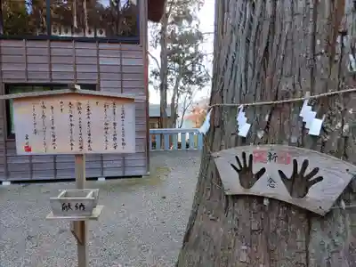 熊野神社(岩手県)