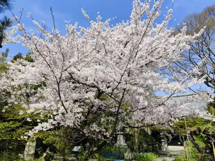 舎那院(滋賀県)