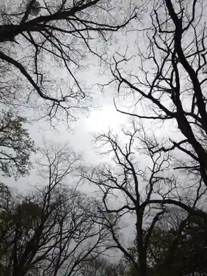 戸隠神社九頭龍社(長野県)