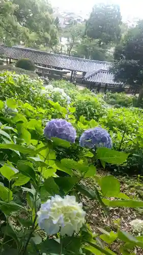 吉備津神社(岡山県)