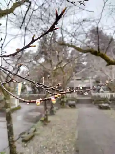 天鷹神社のその他建物