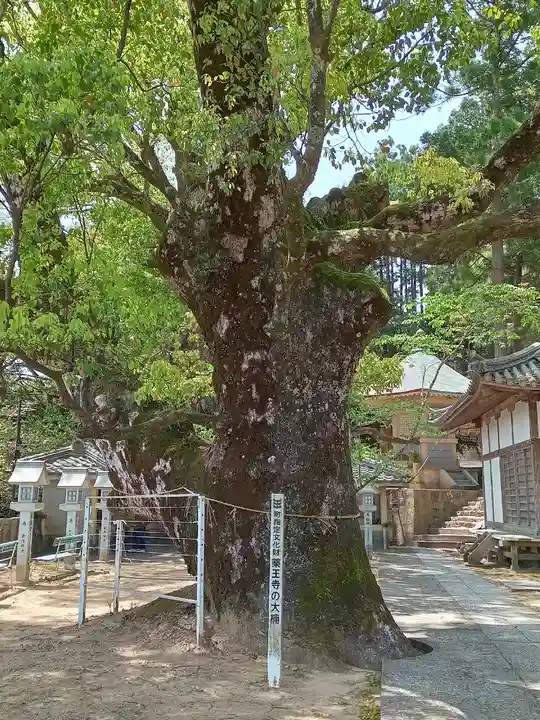 薬王寺(徳島県)