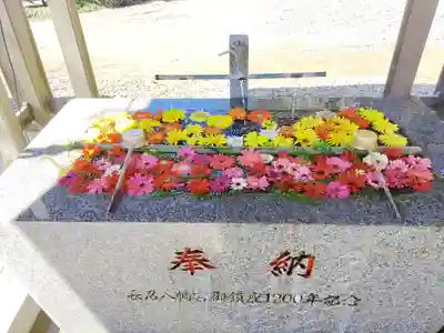 長沼八幡宮(栃木県)