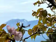 山家神社奥宮の自然