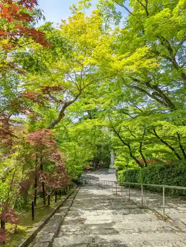 禅林寺（永観堂）(京都府)