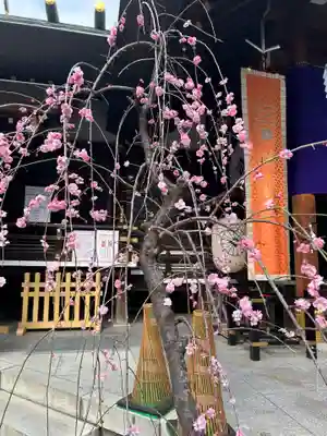 東京大神宮(東京都)