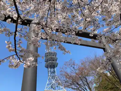 四柱神社の鳥居