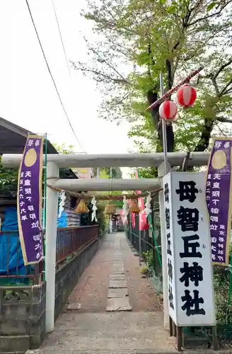 母智丘神社の鳥居