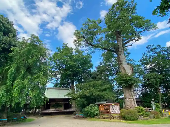 廣瀬神社のその他建物