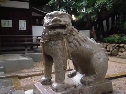 安居神社の狛犬