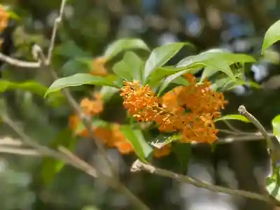 伊勢の国 四天王寺(三重県)
