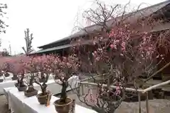 菅原天満宮（菅原神社）の建物その他