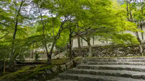 二尊院(京都府)