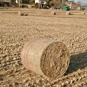 大國魂神社の体験その他(2022年02月21日(月) 17時52分20秒投稿)