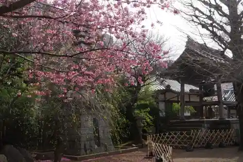 新井薬師（梅照院）のその他建物
