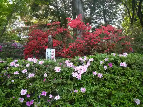 阿智神社の庭園