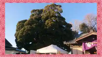 九重神社(埼玉県)