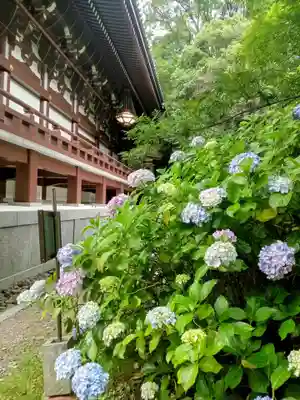  智積院(京都府)